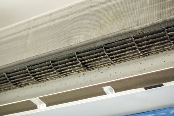 Best Affordable Duct Cleaning Services  in Troy, IL